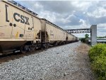 CSXT 262864